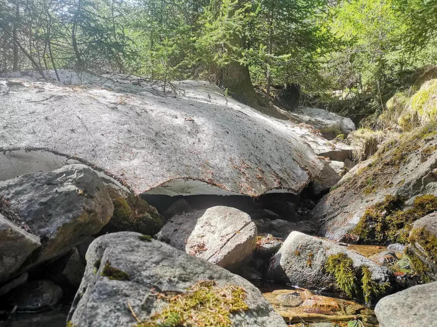 五台山的千年佛教历史和文化,五台山藏传佛教文化研究