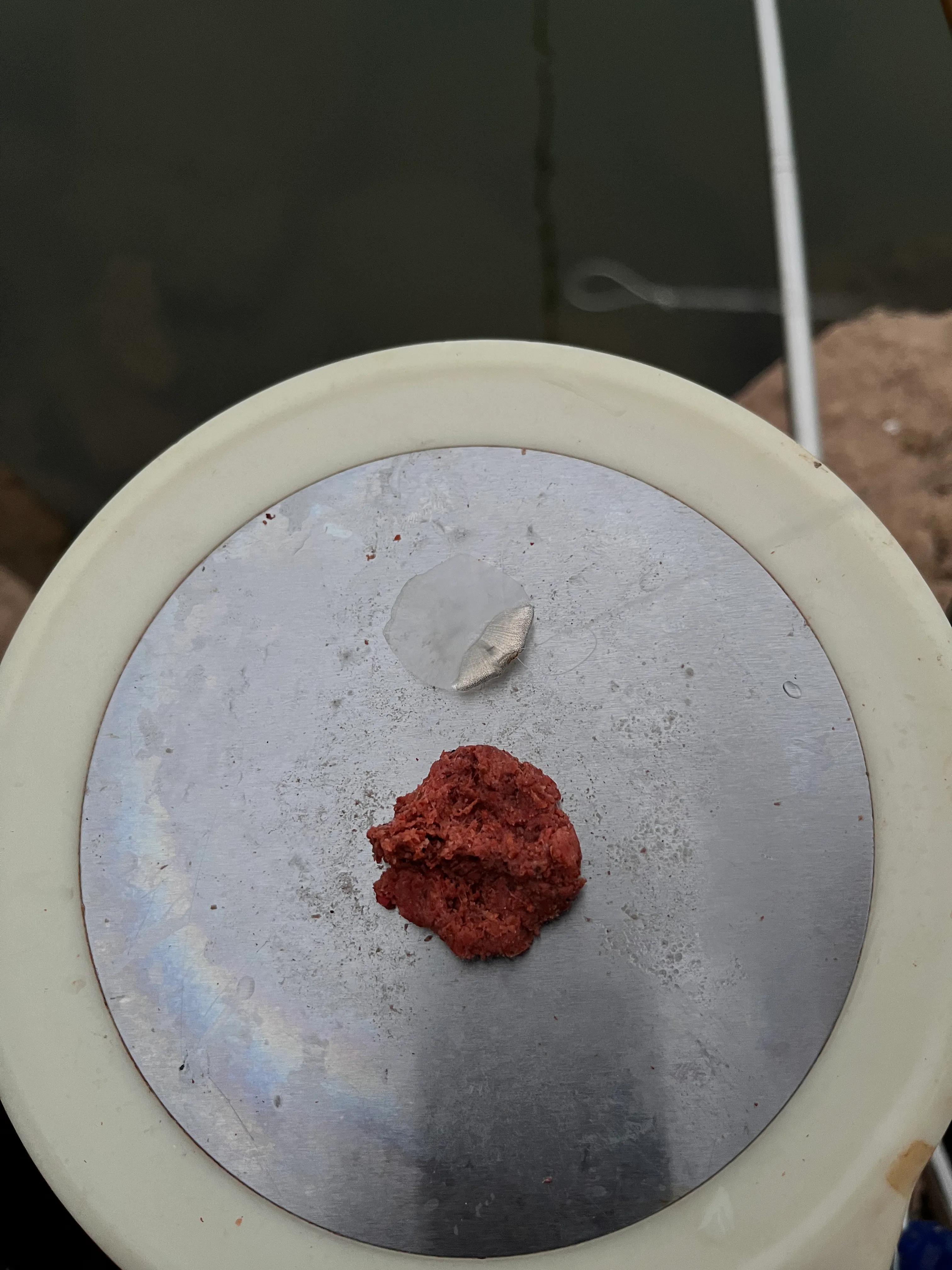 又钓了个寂寞…却依然觉得很过瘾