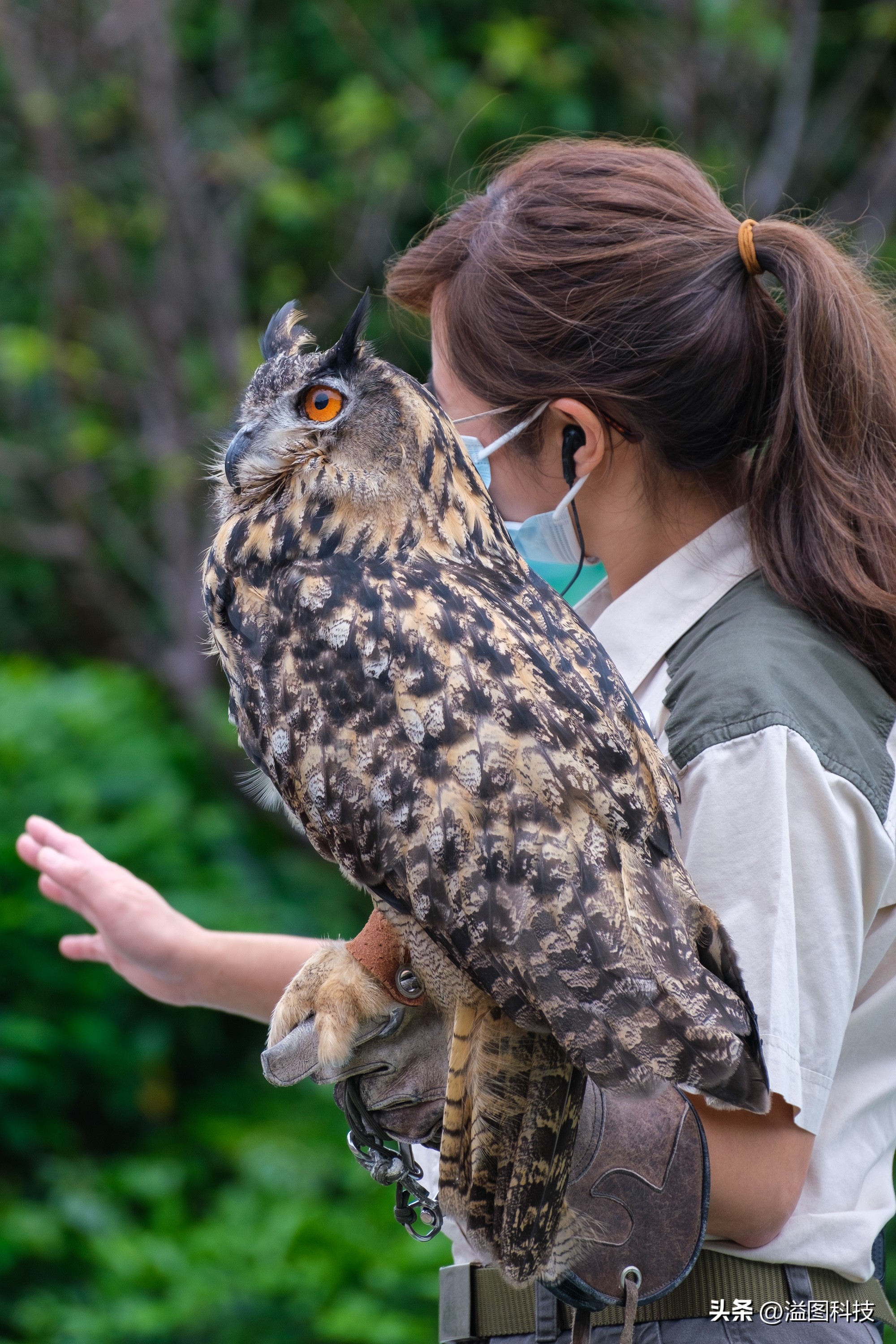 富士x-s20怎么原价购买,富士x-s20单机身价格