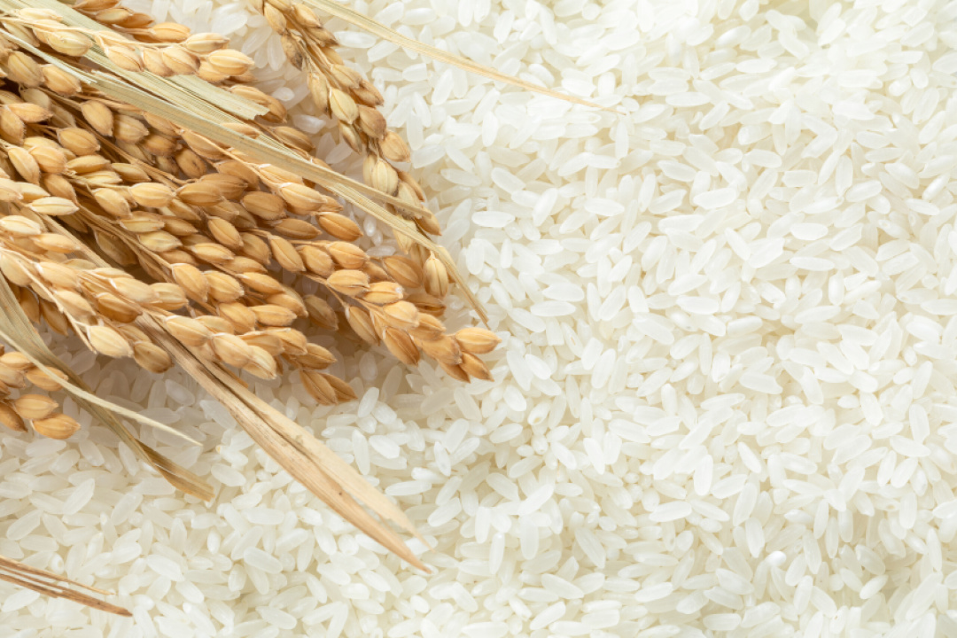 桂花香馅裹核桃,桂花香馅裹核桃江米如珠井水淘