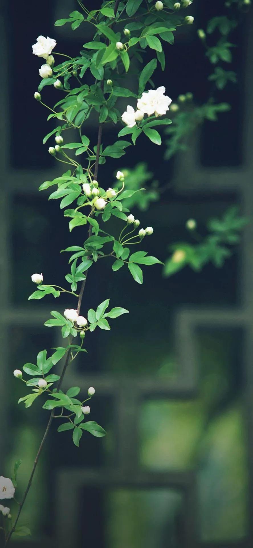 超高清海洋沙滩风景壁纸全屏,湛蓝的海水海滩风景高清壁纸