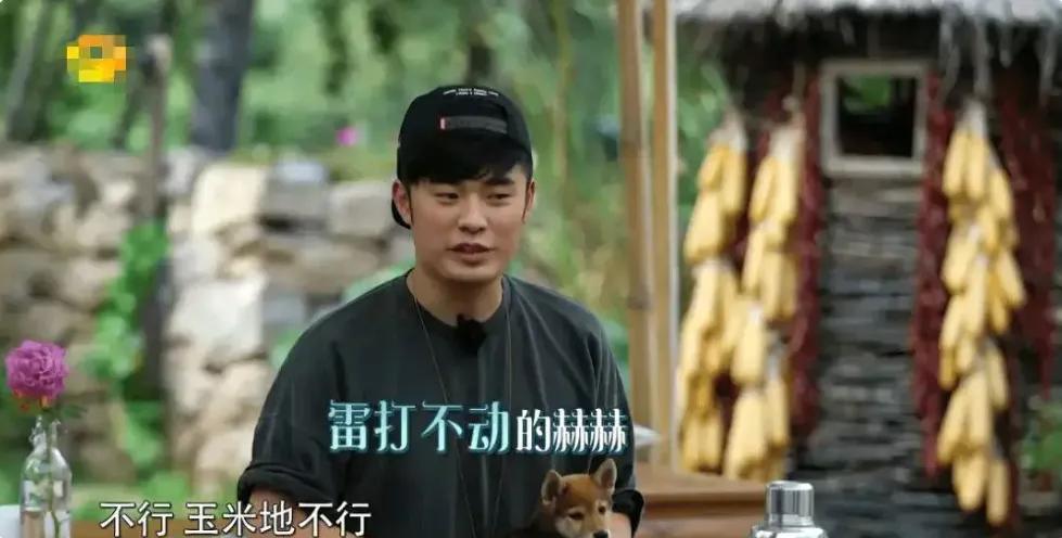 陈赫如何挣钱,陈赫一年收入300多家门店