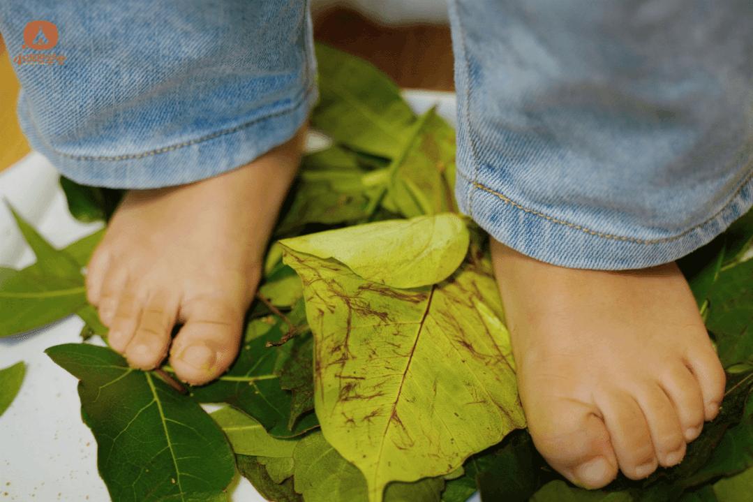 小宝宝一般几岁上幼托班好,孩子上托班给家长一点轻松的时光