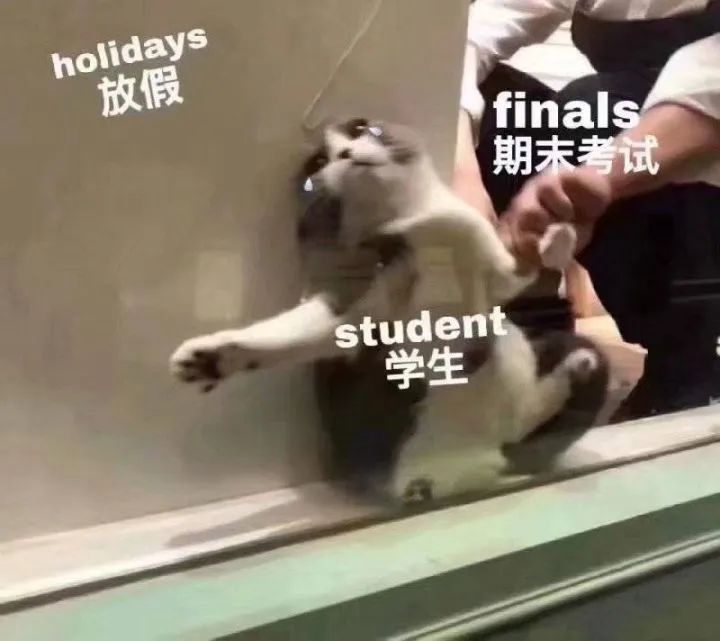 高中生表情包：学习使我妈快乐