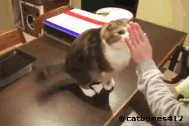 沙雕撩人幽默冷笑话,冷笑话沙雕搞笑句子大全