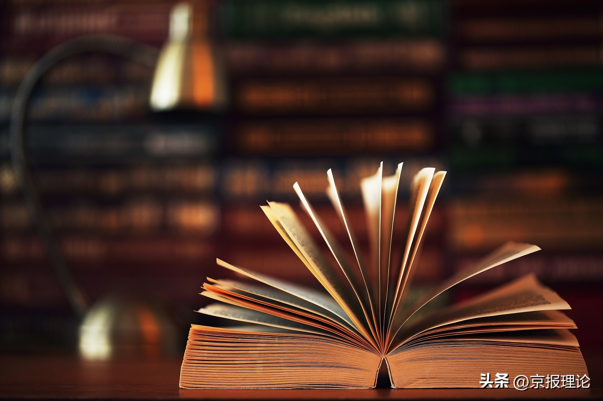 百年中国史学回顾,中国史学的贡献