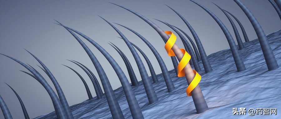 3款上市、18款在研，雄激素性脱发药物分析