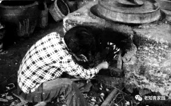 上山下乡的知青文化,知青上山下乡聚餐