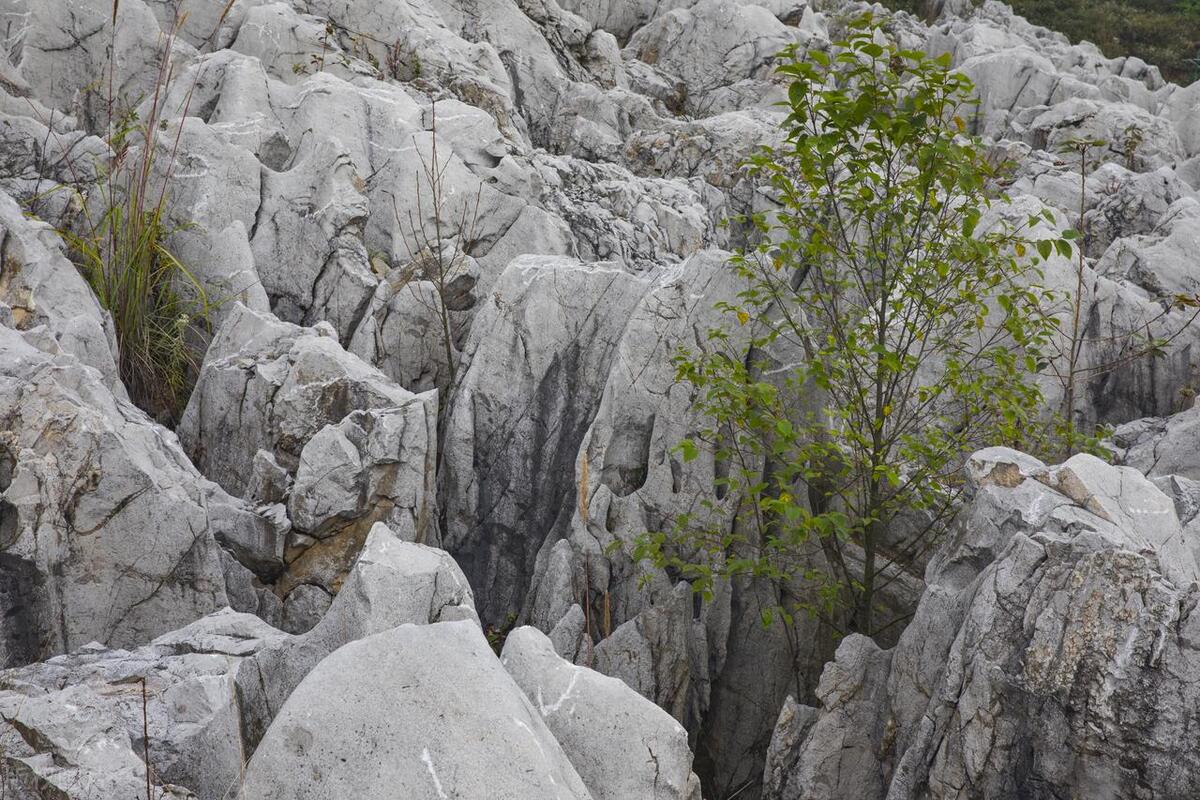 云南石林景区,德宏旅游石林