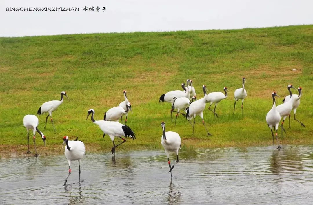 环中国边境线自驾旅行g331黑龙江,g331东北大环线自驾游