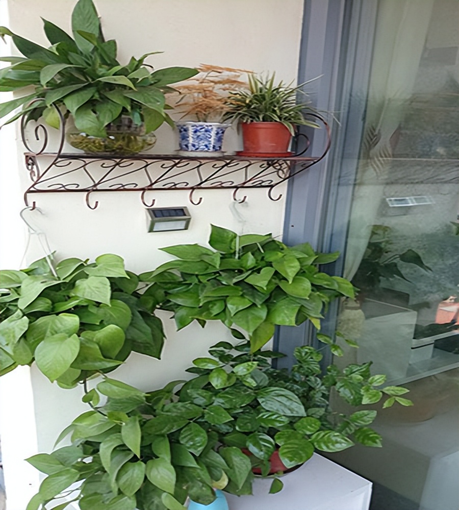 房子小户型三房一厅,晒晒我家三层自建房