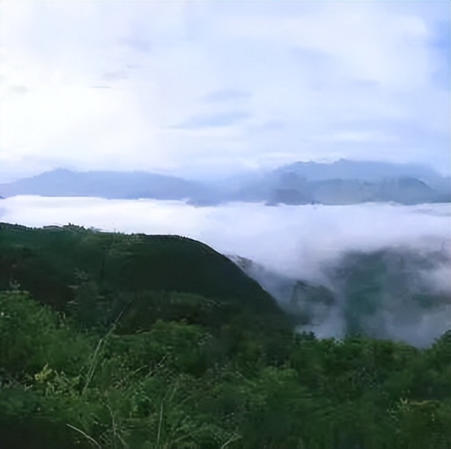 【上饶天下SHOW之广信区】中华蜜蜂谷:藏在五府山竹海密林中的蜜蜂“乐园”