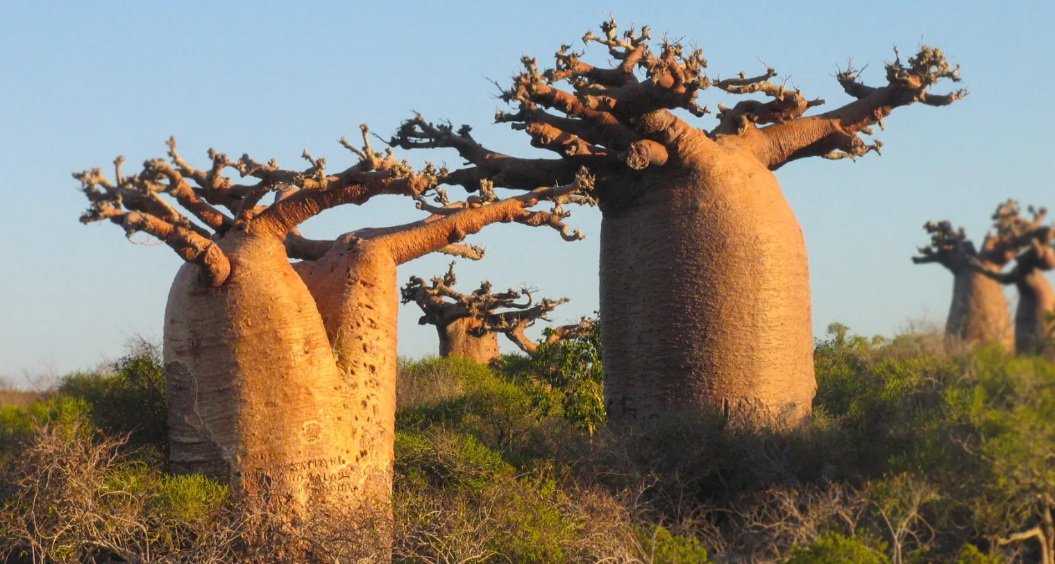 如果地球100年不下雨会怎么样,地球停止下雨100年会怎么样