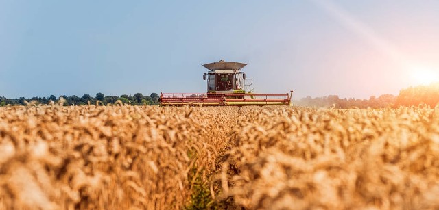 俄罗斯禁止农产品出口影响有多大,俄罗斯去年向我国出口多少农产品