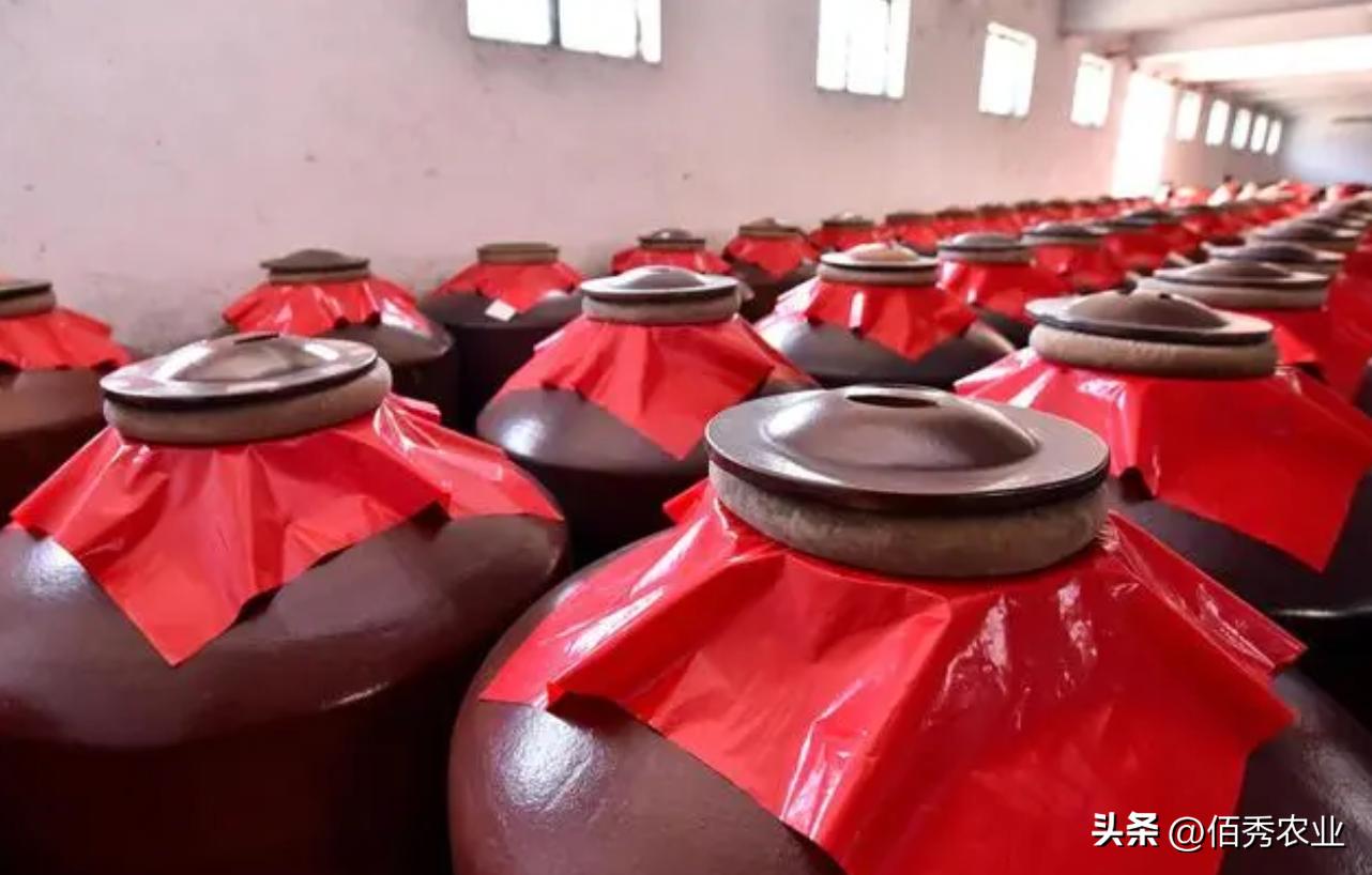 酿酒利润有多少,自己酿酒一百斤酒能赚多少钱