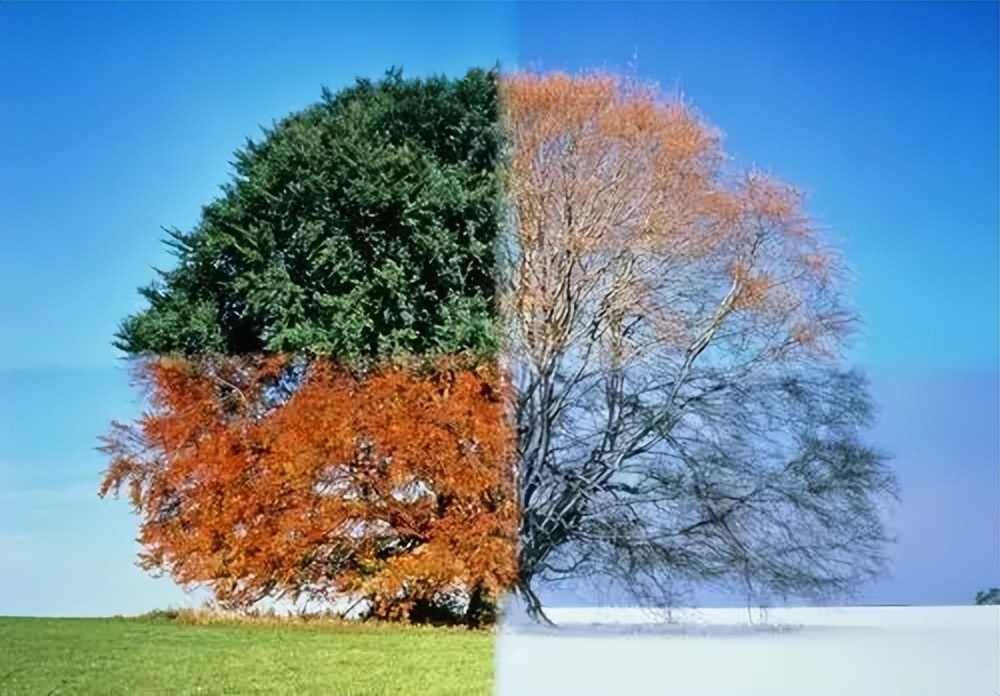 采暖系统怎么控制温度,家庭采暖系统温度调节