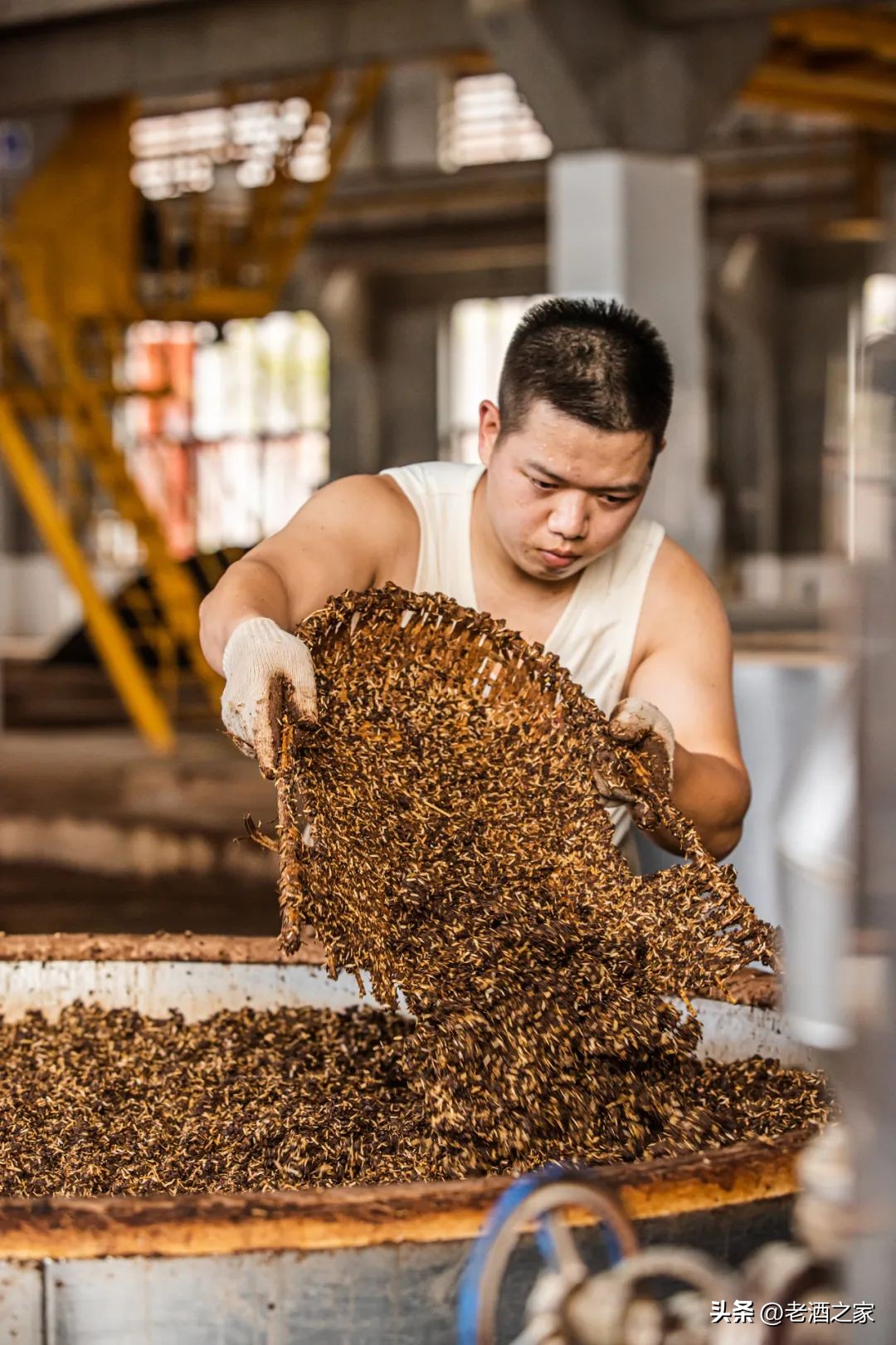 在茅台酒厂上班是什么体验,茅台酒厂上班工资多少