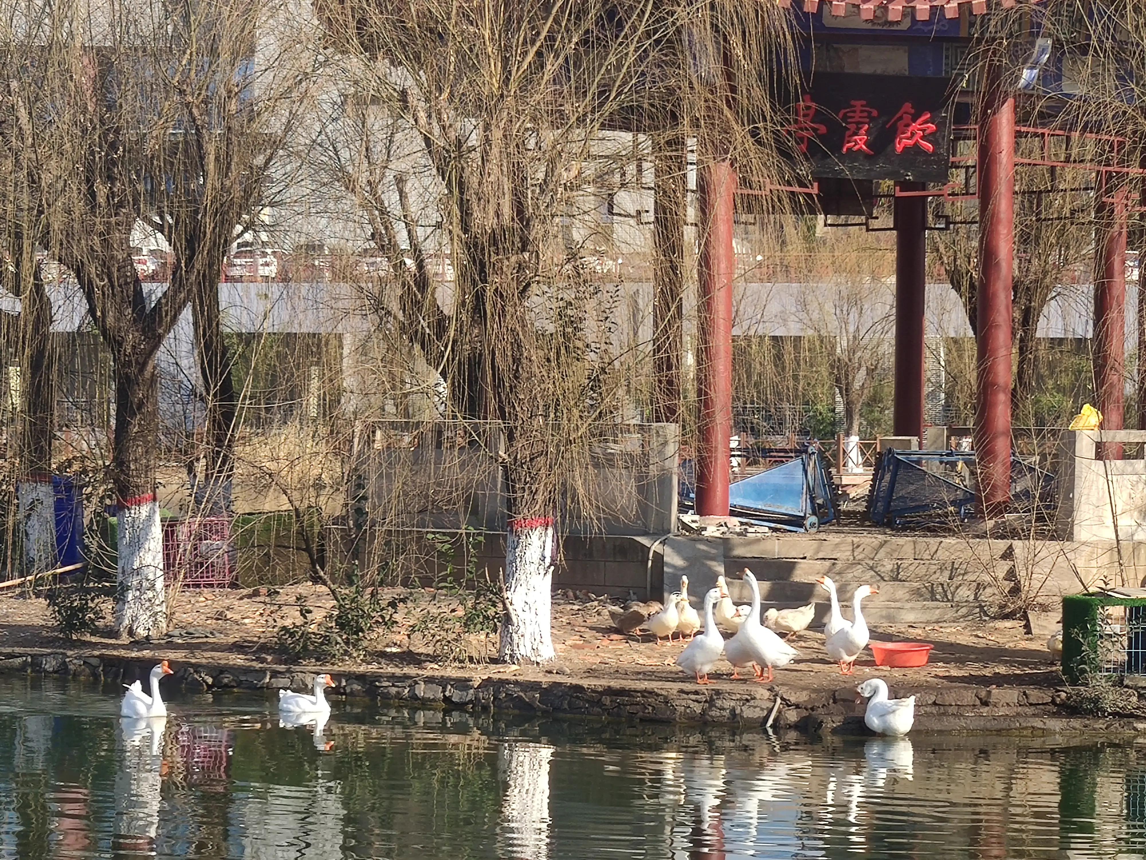 山色空蒙雨亦奇,水光潋滟晴方好山色空蒙的意思