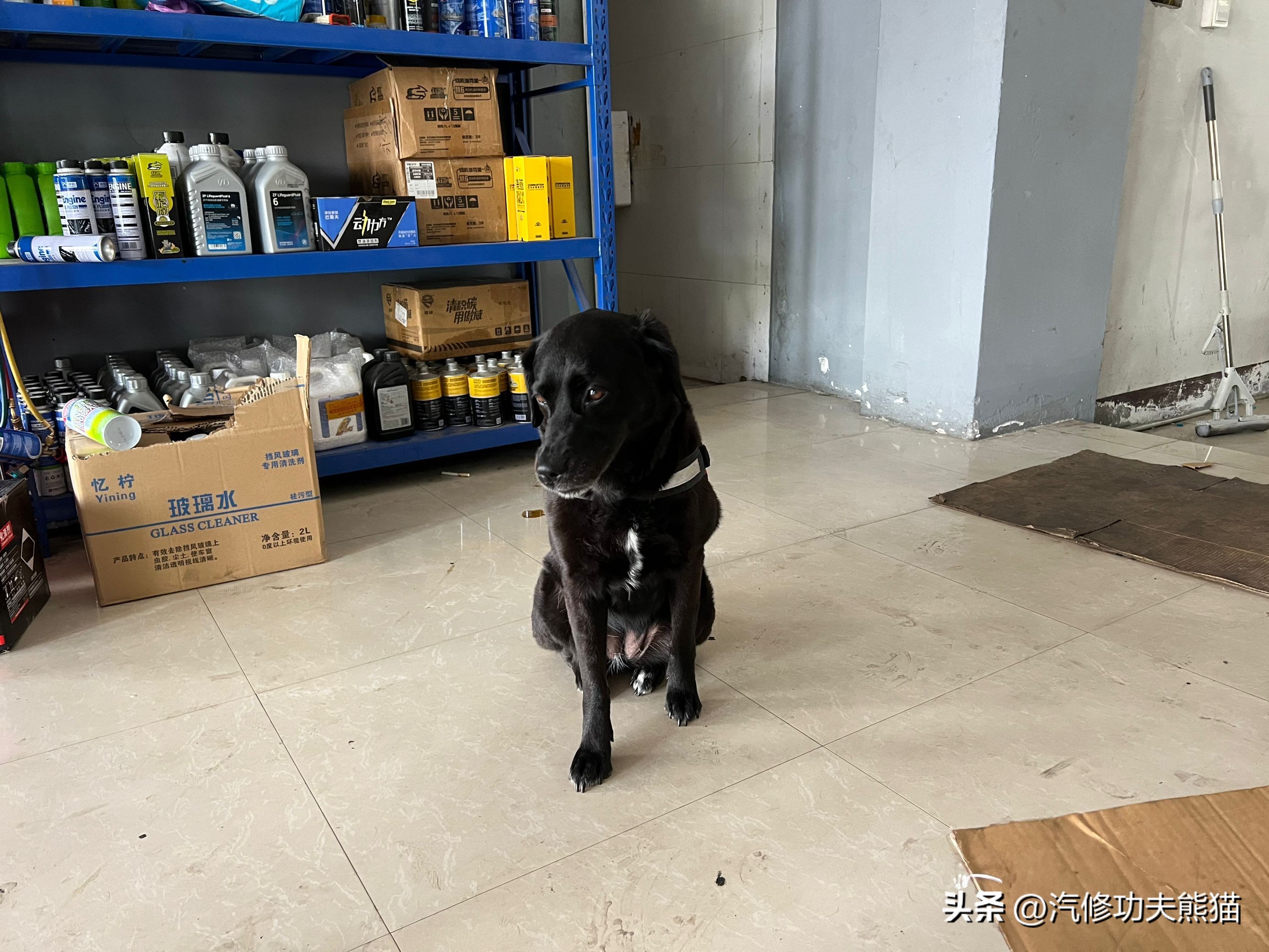 奥迪q3用什么机油最合适,奥迪q3用壳牌什么机油