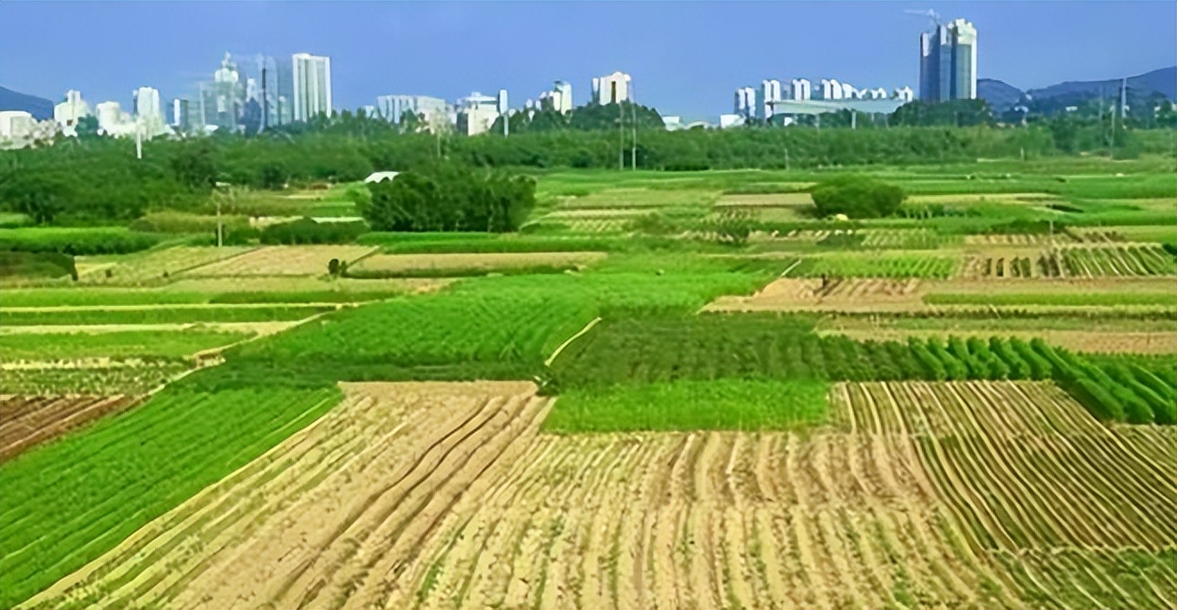 谁在砸中国人饭碗？200万年形成的“土中熊猫”，被4元贱卖给美日