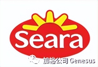 全球生猪养殖企业排名,世界十大牧业集团排名