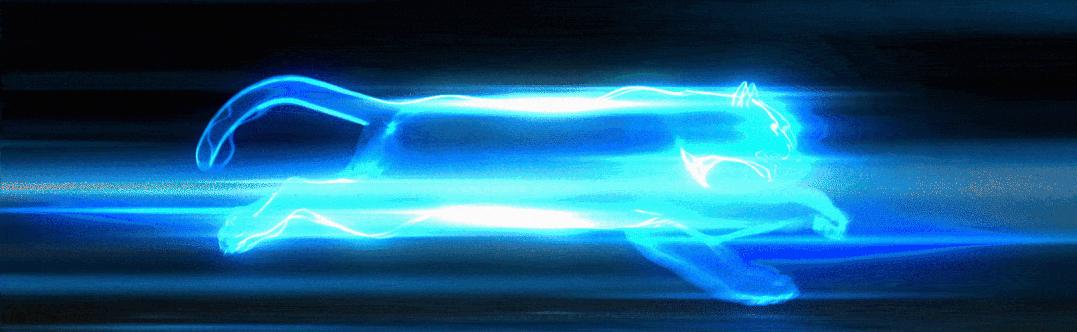 鍥藉鑼跺彾鍝佺墝鎬庝箞璁捐,鍥藉鑼跺搧鐗宭ogo璁捐