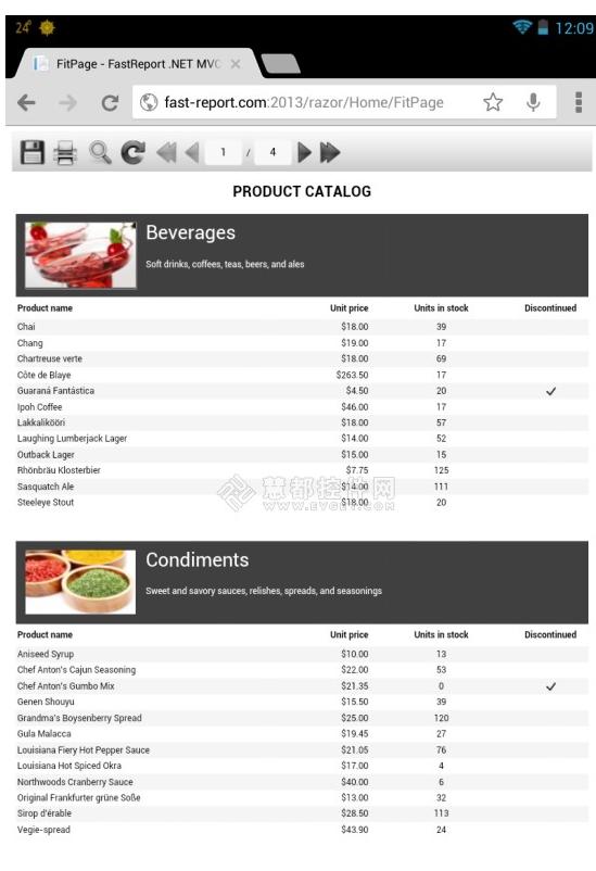 fastreport报表服务器,怎么创建一个fastreport报表