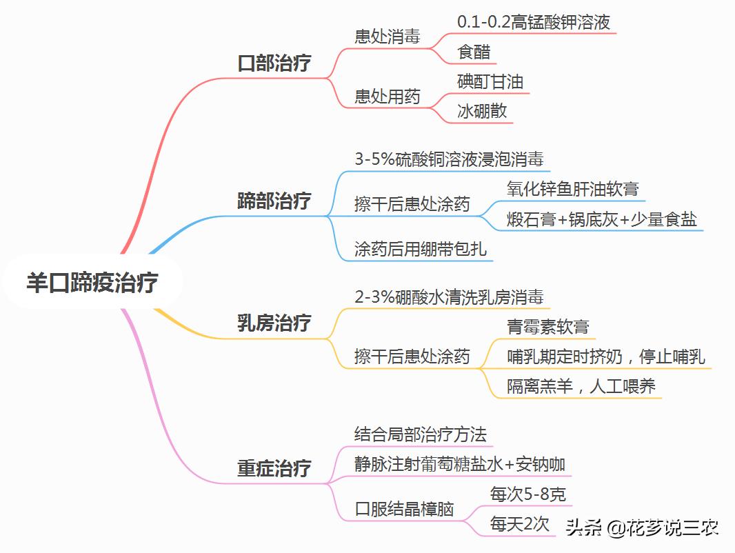羊口蹄疫预防时间表,养羊不打口蹄疫疫苗行不行