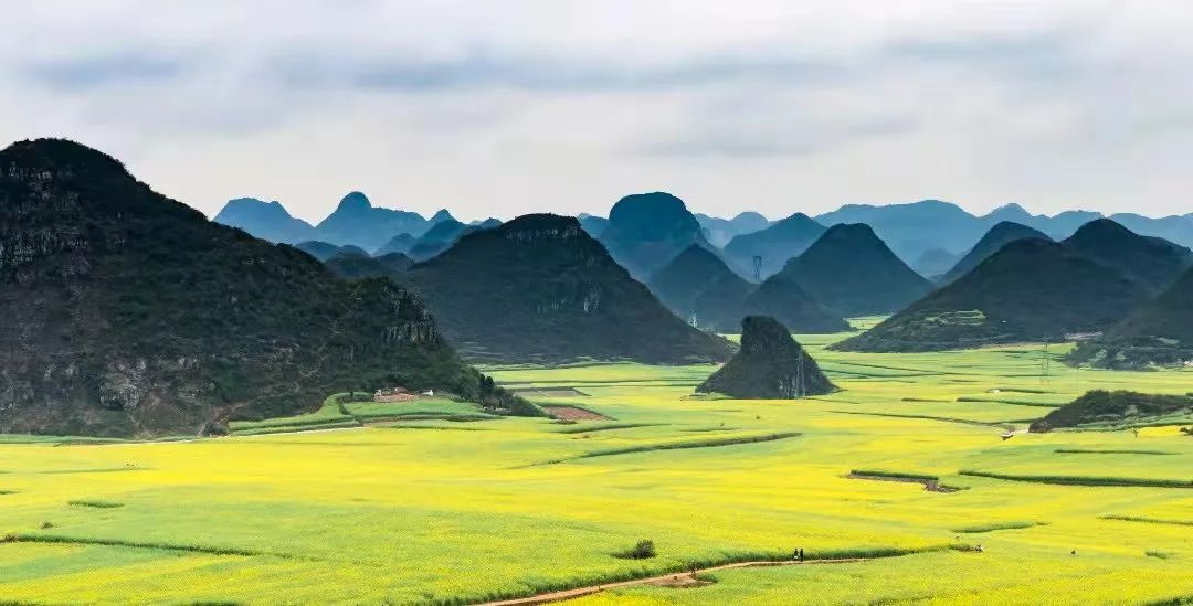 云南贵州哪个地方更适合夏季旅游,为什么避暑要去贵州旅游