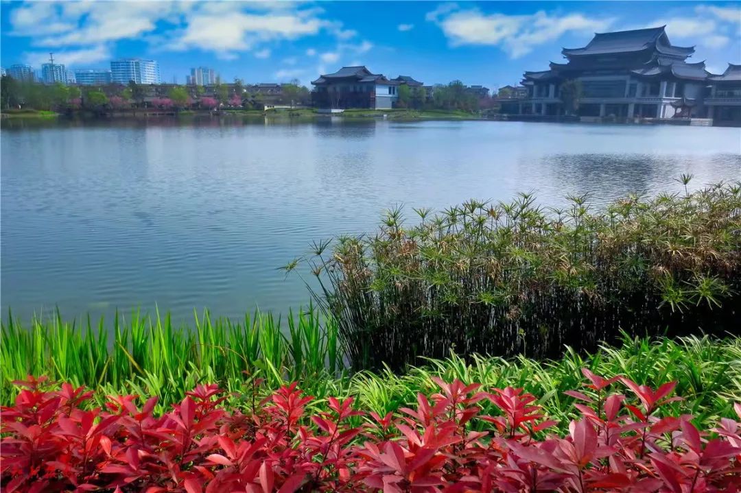 又见花开都江堰完整版,又见花开都江堰