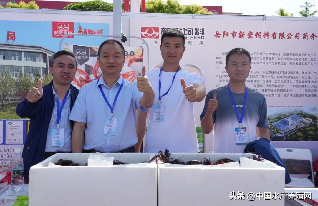 2023年南县小龙虾价格行情,南县小龙虾价格报价