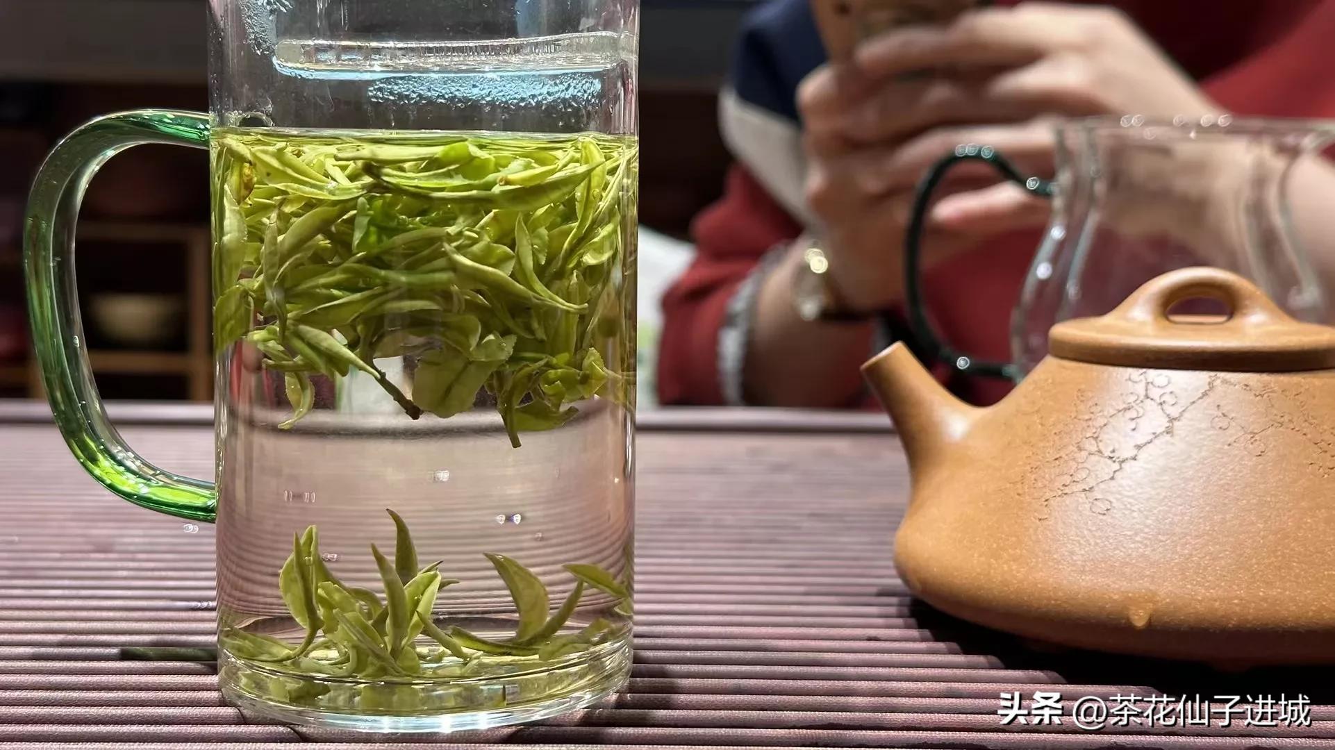 茶叶五大香型是什么茶种,白茶九大香型介绍