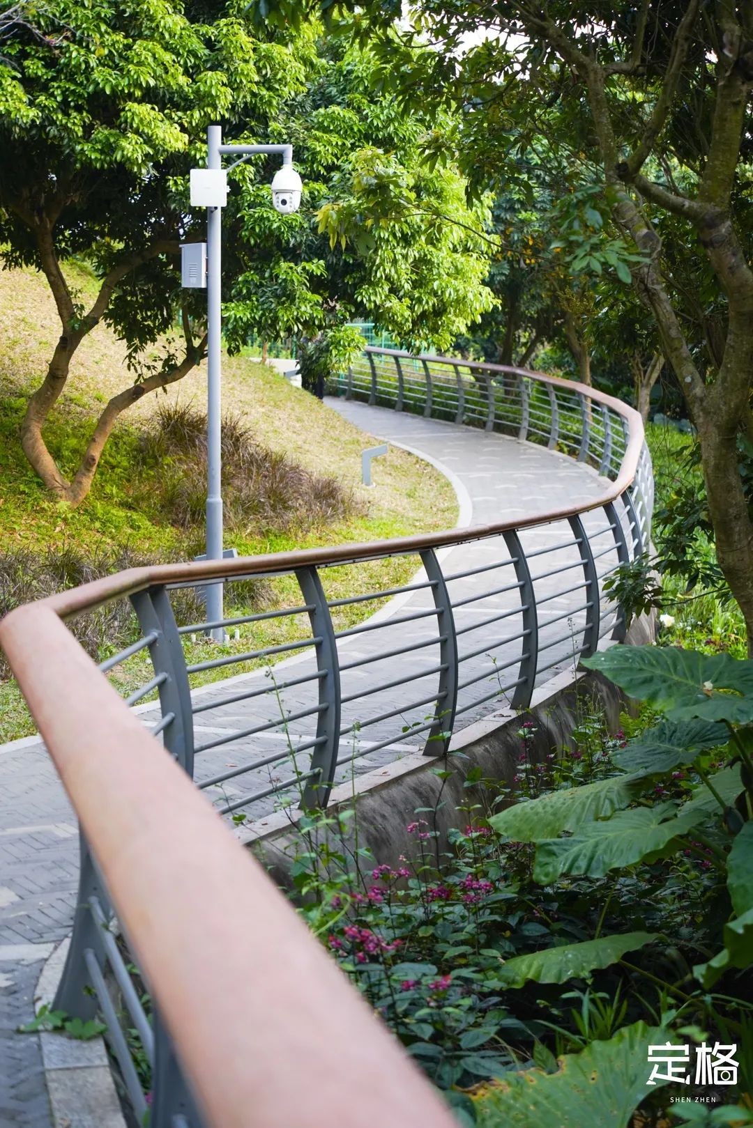 淘金山绿道揽胜,淘金山绿道预约