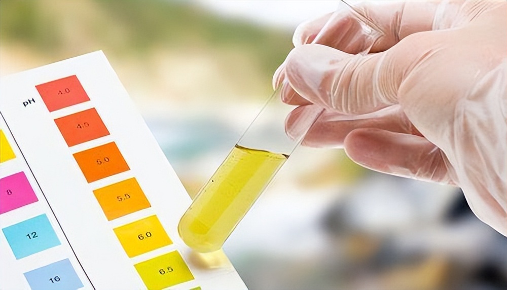 70岁老人尿潜血试验结果阳性,尿血红蛋白潜血阳性是什么意思