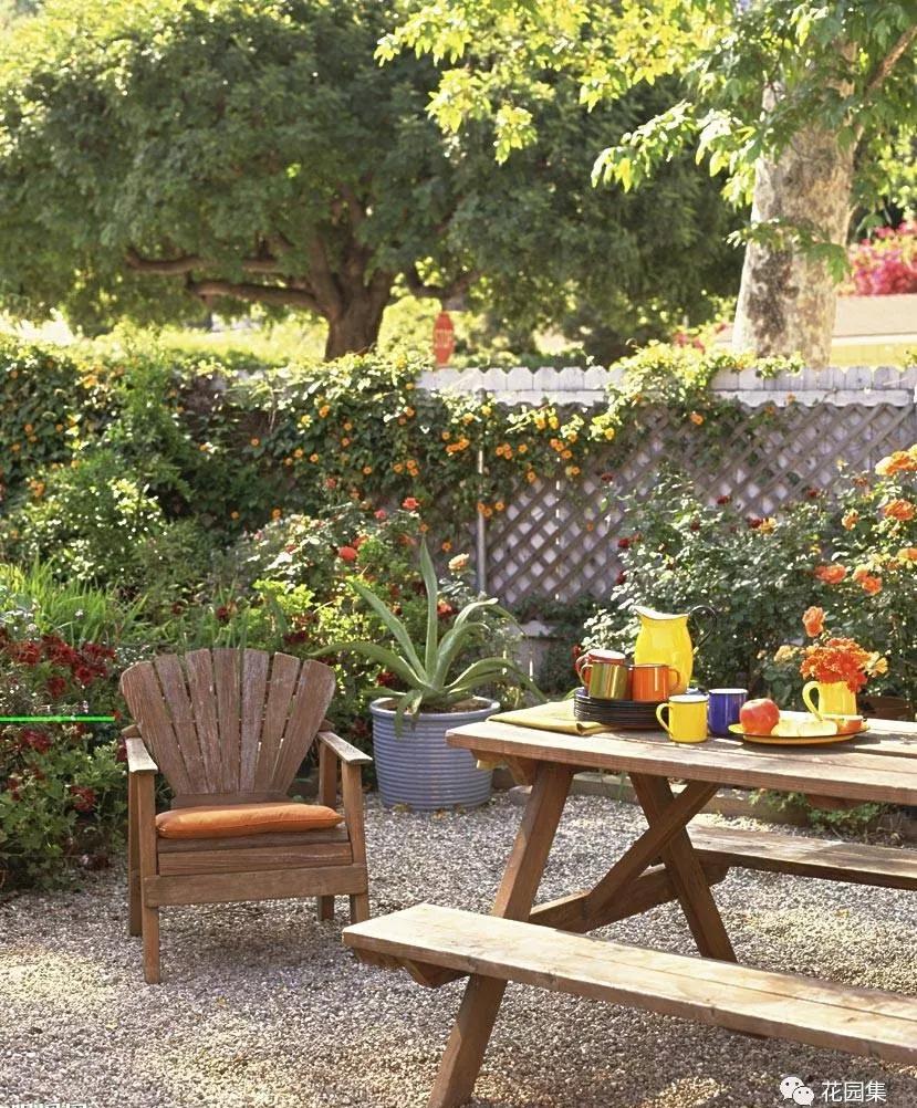 花园适合种的植物,在花园种植哪些植物比较适合