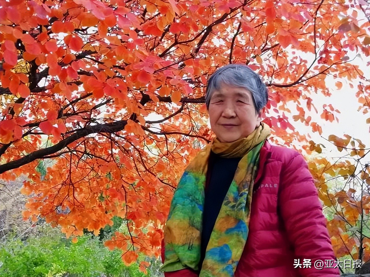 最后的大家闺秀张家四姐妹,最后的大家闺秀写的书