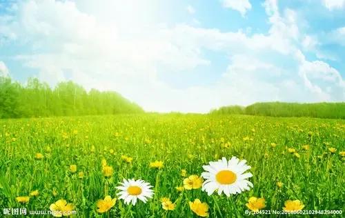 闺蜜小说知乎,闺蜜小说免费阅读