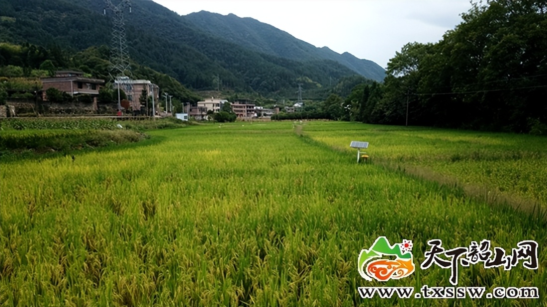 韶山平里村驻村工作队,湖南韶山乡村振兴