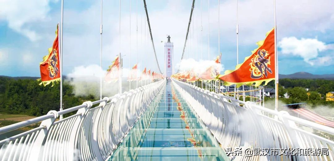 六一+端午的超级快乐将被这里承包，亲子水乐园+多彩绣球花，免费畅玩打卡，游玩攻略请查收