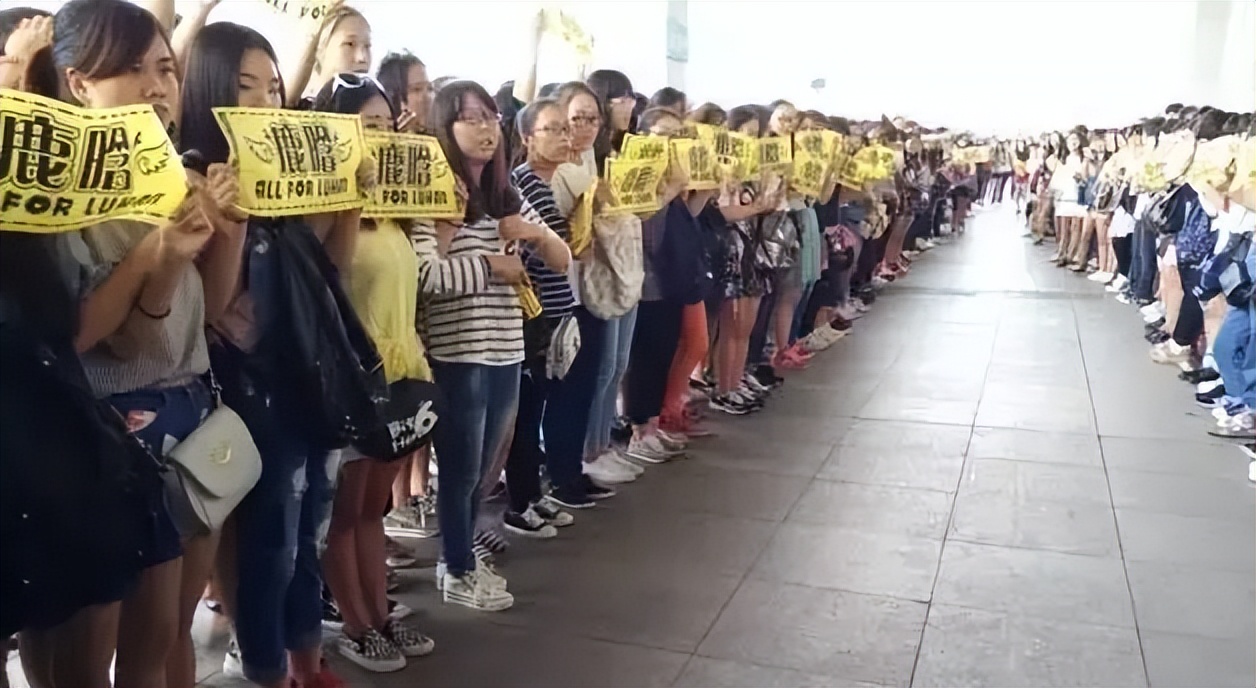 鹿晗原名叫什么名,鹿晗的粉丝叫什么