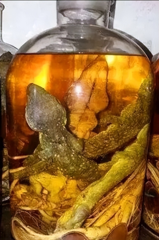 真正的丛林美食有哪些,硬核知识大全100个