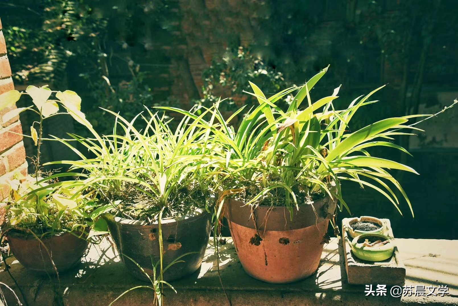 人生最好的归宿的句子,自己才是人生最好的归宿