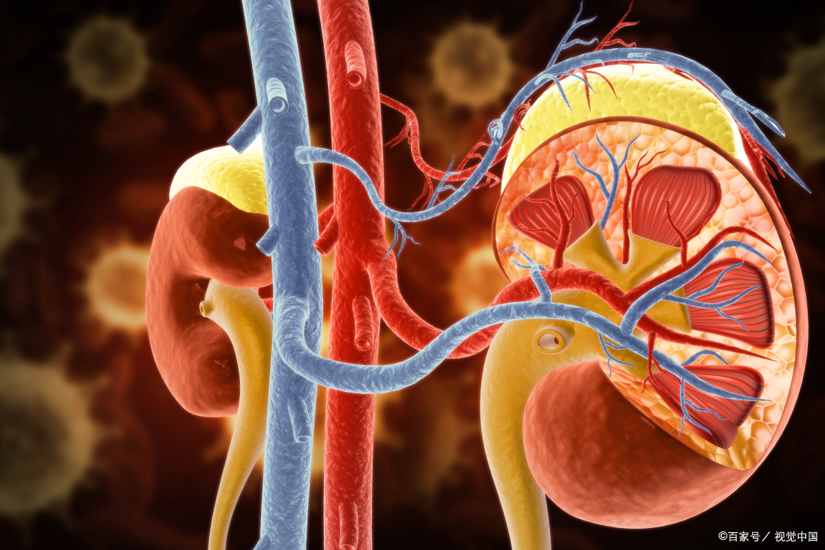 背痛位置图及症状,哪些原因引起右下背痛