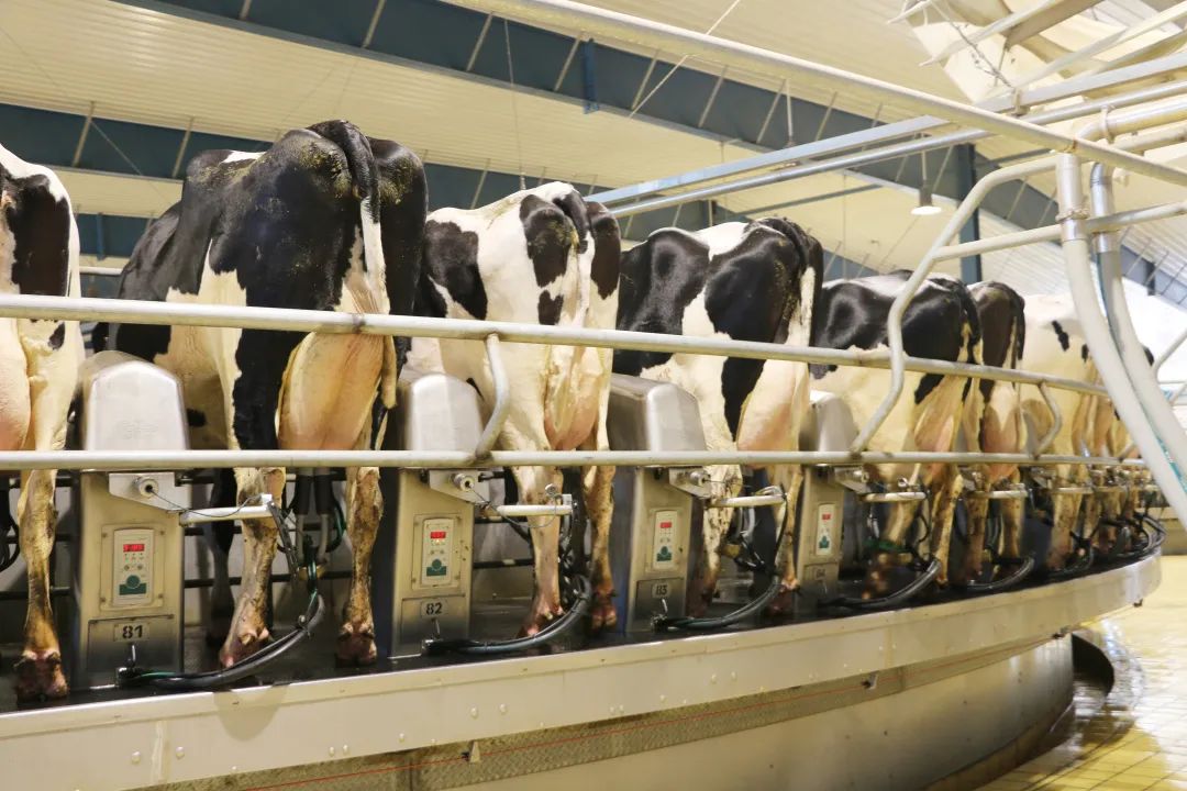 君乐宝威县乐源君享,君乐宝农场纪录片