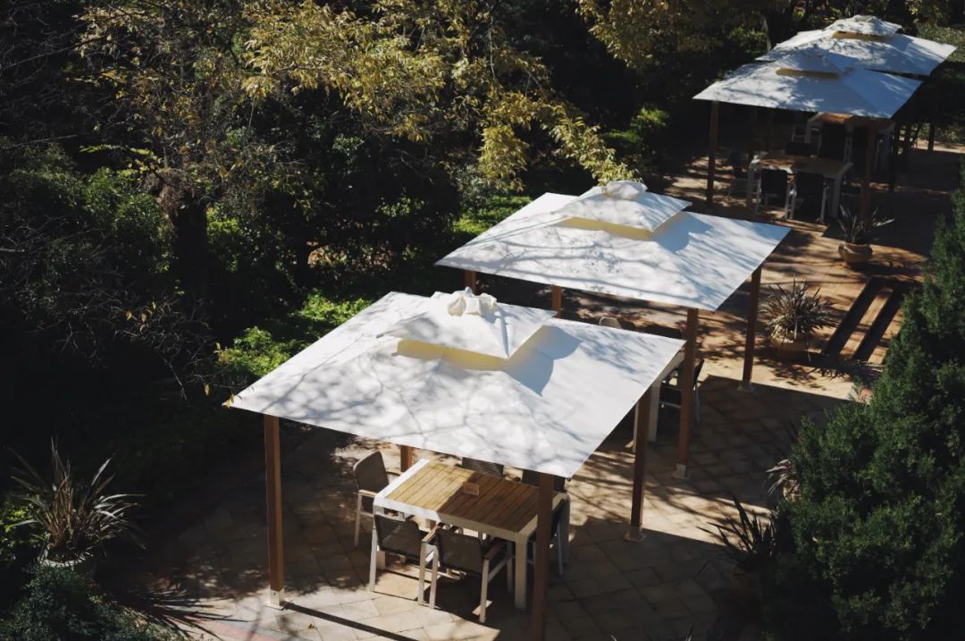 公司的旅游团建必须去吗,旅游团建机构有哪些好的