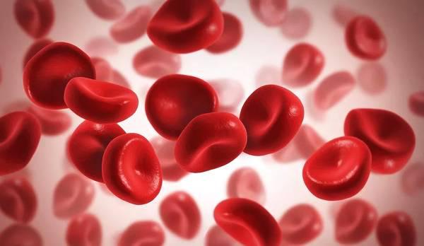 缺铁性贫血生活饮食上应该吃什么,缺铁性贫血吃什么饮食合适