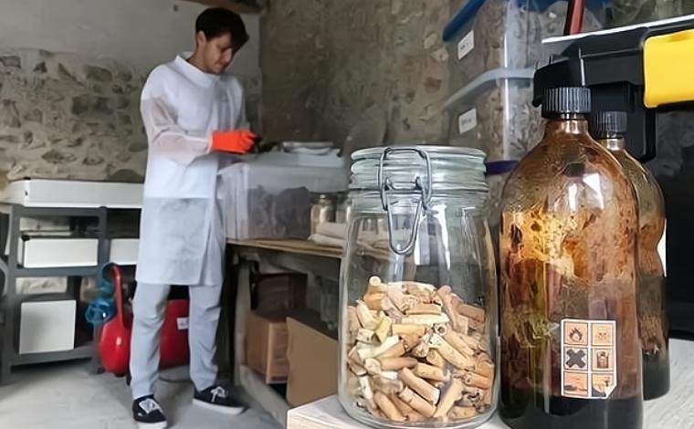 日本回收中国烟头价格,一公斤烟头能卖多少