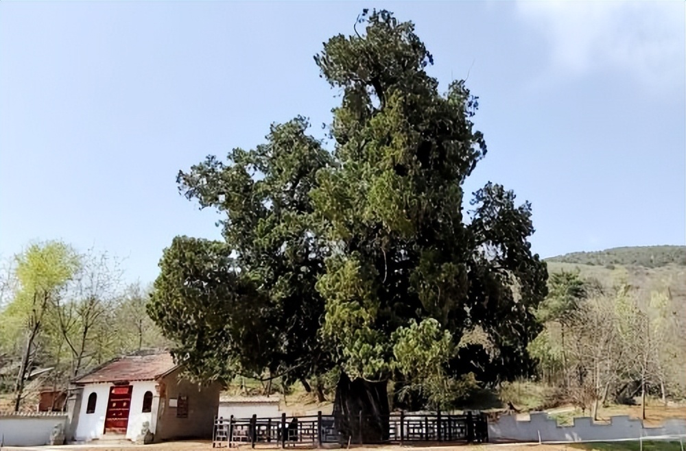 抓项目促发展专项行动推进会精神,稳增长促转型项目建设加压奋进