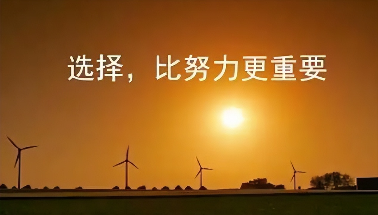 以创业悟人生——不悔，助你走上人生巅峰