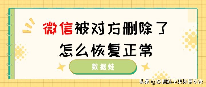 微信被对方删除了怎么恢复正常？试试这招很简单